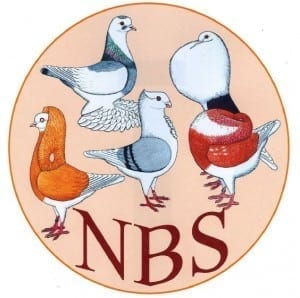 https://www.noordshow.nl/wp-content/uploads/2018/09/NBS-logo-300x298.jpg