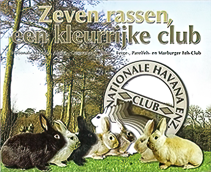 logo 7 rassen club