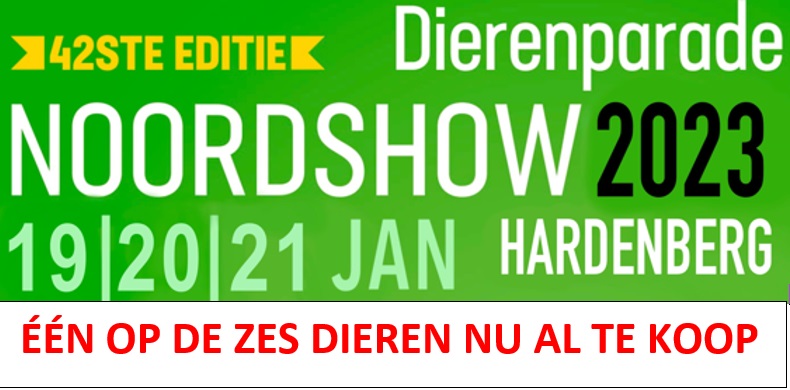 EEN OP DE ZES TE KOOP